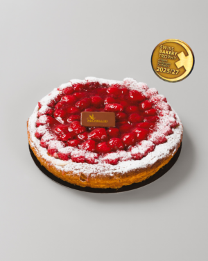 gâteau aux framboises sur un fond gris
